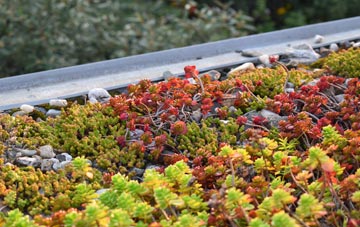 the cost of Patching green roof installation