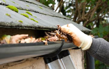 gutter cleaning Patching, West Sussex