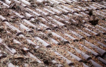 Patching roof cleaning companies